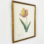 vintage schilderij tulp