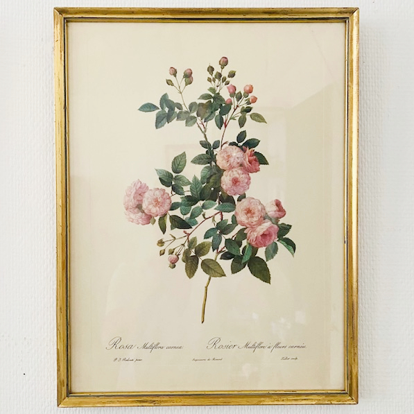 vintage schilderij roze roos
